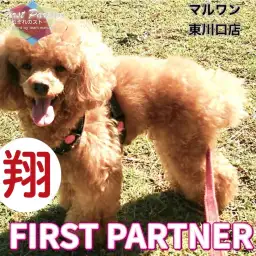 【 ファーストパートナー 】マルワン東川口店スタッフ木崎の愛犬物語!