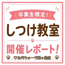 【 卒業生限定無料しつけ教室 】卒業生だけが受けられる特別レッスン!
