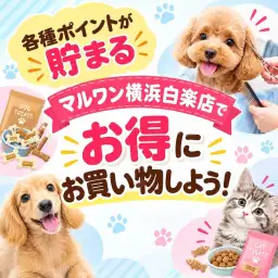 【 お知らせ 】各種ポイントが貯まる！横浜白楽店でお得にお買い物したい方集まれ！