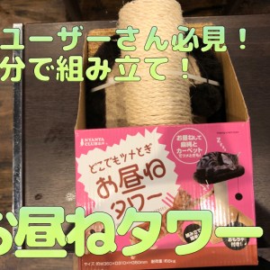 【猫グッズ】猫ユーザーさん必見!二分で組み立て!お昼寝タワー★白楽店おすすめ商品♪