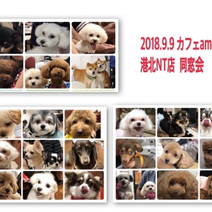 【 イベントレポート 】マルワン港北NT店7周年記念同窓会イベント㏌カフェAmato!