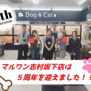 【 志村坂下店5周年 】スーパーセールも開催!一緒に育てるチーム志村坂下!