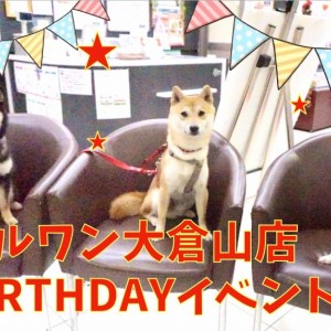 祝!!マルワン大倉山店7歳のお誕生日!感謝を込めて撮影会イベント開催!