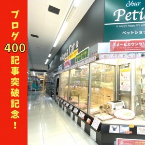 【 大倉山店特別号 】ブログ400記事突破記念!最新オリジナルサポート内容公開!