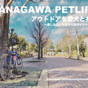 【 神奈川ペットライフ 】今、本厚木が熱い!愛犬とアウトドアを楽しみたい方必見!