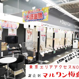 【 店舗紹介 】マルワン東京エリアで一番アクセスがいい店舗! マルワン梅島店