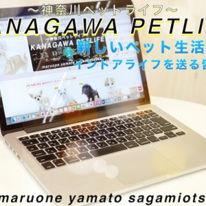 【 神奈川ペットライフ 】ペットライフも新しい生活様式!インドアライフの心得とは