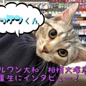 【 卒業生インタビュー 】成約者様限定のアフターサポートとは?マッケンくんに密着