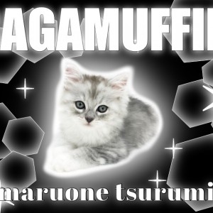 【 ラガマフィン 】鮮やかなシルバーの被毛を纏ったイケニャン降臨！