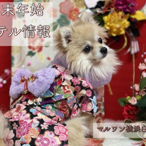 【 お役立て情報 】マルワン横浜白楽店、年末年始のペットホテル情報のお知らせ