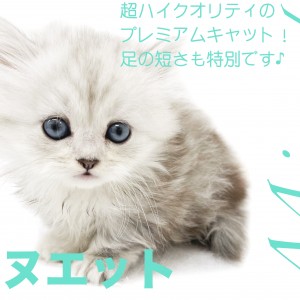 cat_img_1_3cd0e661a8f0.png