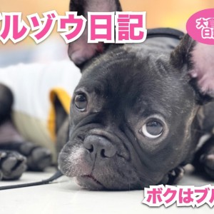 【 6/11 トレーニング 】オスワリマテは完璧だ蔵!の巻