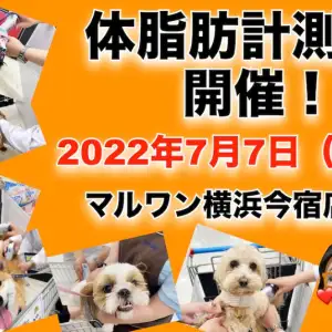 【 イベント情報 】7月7日(木)七夕の日はワンちゃんの体脂肪計測会!