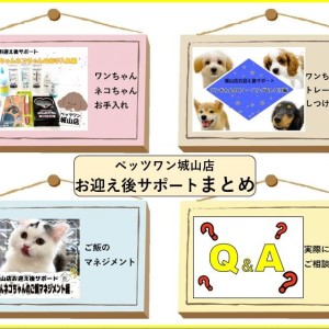 【 城山店お迎え後サポート 】サポートまとめ編