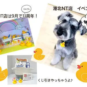 【 イベント情報  】マルワンNT店9月で11年目スタート