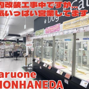 【 お知らせ 】オリンピック本羽田店一部改装工事に伴うお知らせ