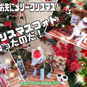 【 一足お先にメリークリスマス! 】わんちゃんたちのクリスマスフォトブース撮影