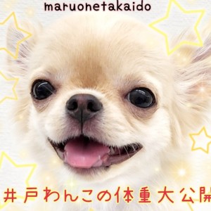 【 体調管理ってとっても大事! 】高井戸店のわんちゃん達の体重大公開!