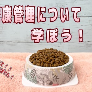 【 愛犬&愛猫の健康管理 】必須栄養素やチェック項目大公開!(付録付き)