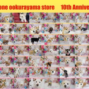 【 10周年 】59頭の卒業生で大倉山店10歳のバースデーパーティー!