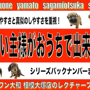 【 おうちで出来る 】プロも実践!初心者でも分かる、真似できるペットのアレコレ