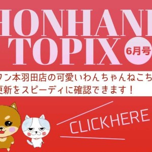 【 HONHANE トピックス6月号 】マルワン本羽田店の6月の情報をチェック！