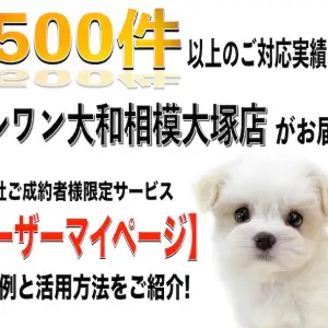 ユーザーマイページ 】ご対応実績1500件以上の相模大塚店が送る上手な 