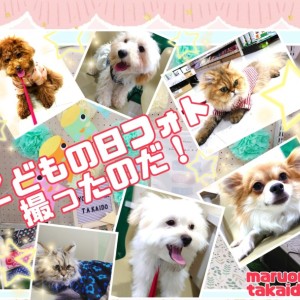 【 こどもの日フォト 】高井戸ベイビーズ記念撮影に行く!の巻