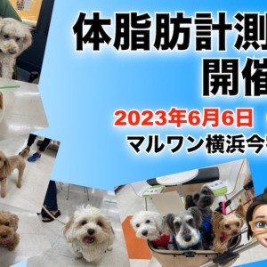 【 今宿店イベント情報 】6/6(火)ワンちゃんの体脂肪測定会のお知らせ!