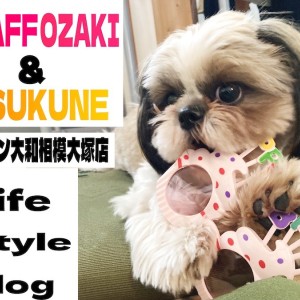 【 スタッフライフブログ 】私の愛犬は相模大塚店の卒業生!共に過ごした1年間!