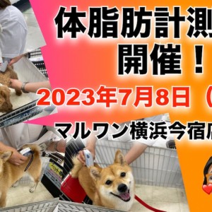 【 今宿店イベント情報 】7/8(土)ワンちゃんの体脂肪測定会のお知らせ!