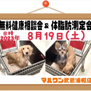 【 お知らせ 】8/19(土)無料健康相談会&体脂肪測定会開催!