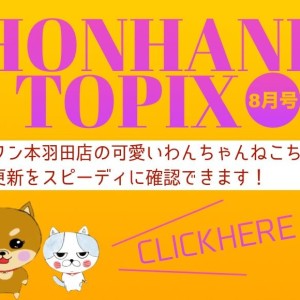 【 HONHANE トピックス8月号 】マルワン本羽田店の8月の情報配信!