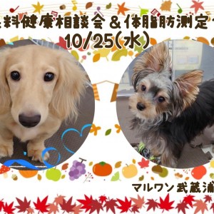 【 お知らせ 】10/25(水)無料健康相談会&体脂肪測定会開催!
