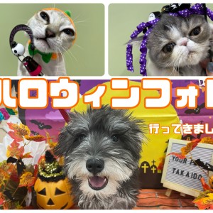 【 ハロウィン 】フォトブースで写真を撮ってきました!