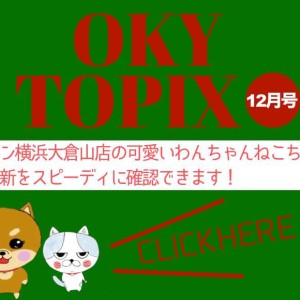 【 OKURAYAMA トピックス12月版】マルワン大倉山店の12月の情報配信を確認!