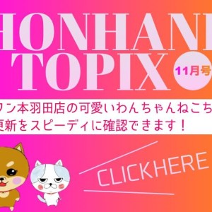 【 HONHANEトピック11月号 】マルワン本羽田店の11月の配信情報!