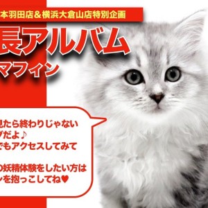 【 ラガマフィン 】クール&ビューティ!二刀流の魅力たっぷりラガちゃんの成長日記