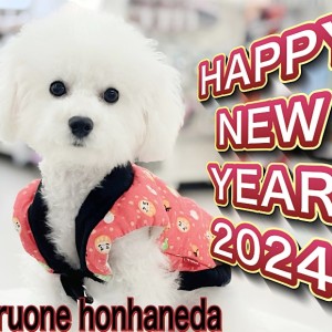 【 新年のご挨拶 】本羽田店より本年もどうぞよろしくお願いいたします!