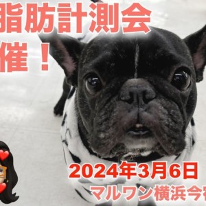 【 今宿店イベント情報 】3/6(水)ワンちゃんの体脂肪測定会のお知らせ!