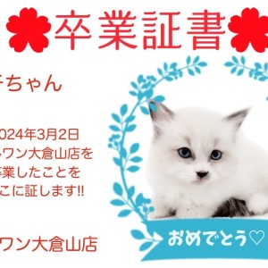 【卒業証書】ハチちゃん卒業おめでとう！！スタッフママより愛を込めて！