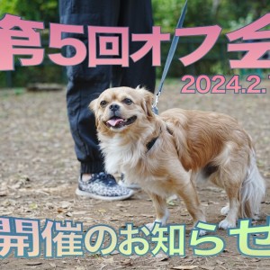 【 オフ会 】第5回オフ会開催のお知らせ!みんなで遊んで寒い冬を吹っ飛ばせ!!!