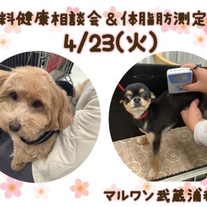 【 お知らせ 】4/23(火)無料健康相談会&体脂肪測定会開催!