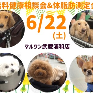 【 お知らせ 】6/22(土)無料健康相談会&体脂肪測定会開催!