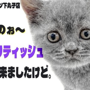 【 ブリティッシュ 】衝撃入店!ルックス・性格共に可愛さがてんこ盛りな女の子!