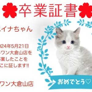 【 卒業証書 】ニイナちゃん卒業おめでとう!!スタッフママより愛を込めて!