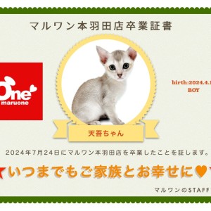 【卒業記念】シンガプーラの天吾くん卒業おめでとう!今までの感謝を込めて〜卒業ブログ〜
