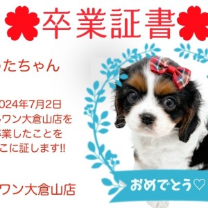 【 卒業証書 】うたちゃん卒業おめでとう!!スタッフママより愛を込めて!