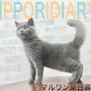 【 NIPPORI DIARY その10】一見クールだけど超甘えん坊なブリちゃん