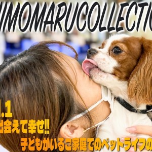 【 シモマルコレクション 】君がいて幸せ!お子様がいるご家庭での犬との接し方